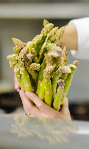 PHOTO-2025-05-01-13-23-19